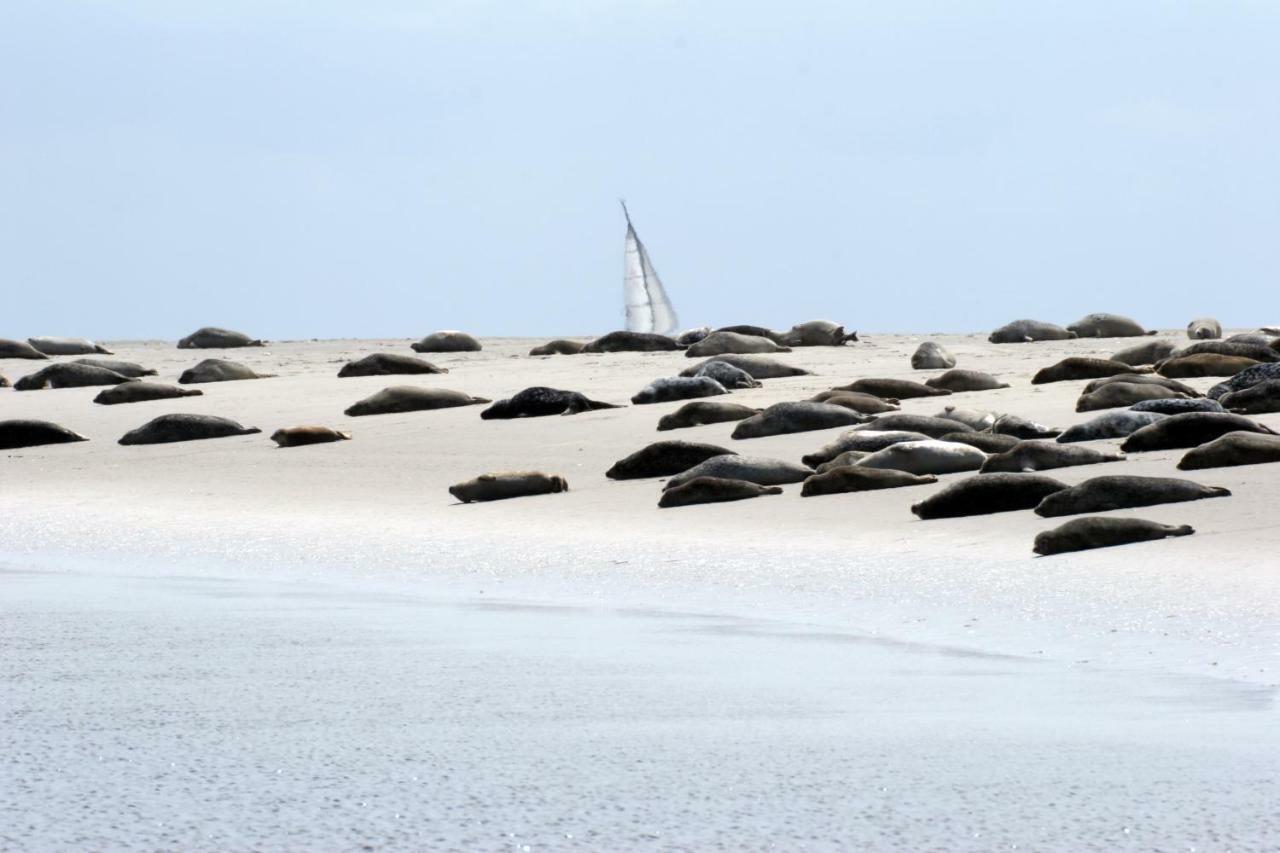 Borkumunterkunft - Woh7 - Im Herzen Der Insel Exterior foto
